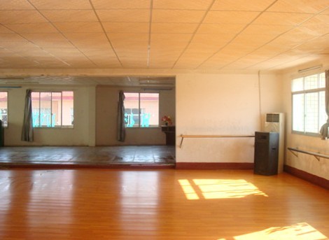 幼儿园-舞蹈室地板